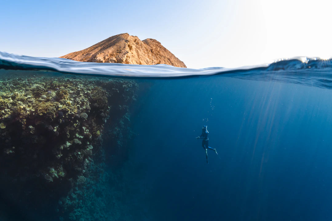 The Impact of Temperature on Swimming Performance